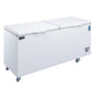 Dukers BD/BG-760 Commercial Chest Freezer image 1